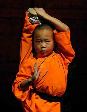 shaolin monks 13 - Shaolin Monks