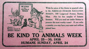 Kindness Animals Quotes Tag archives: animal