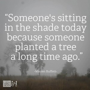 Someone's sitting in the shade today because someone planted a tree a ...