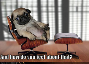 funny-dog-pictures-psychiatrist-pug