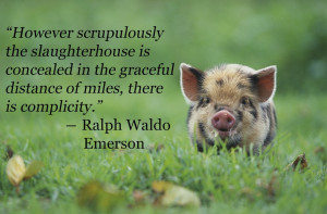 Amazing Quotes That Might Just Convert You To Vegetarianism