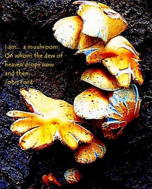 John Ford Quote I am...a mushroom On which the dew by TheGlasArc, $50 ...