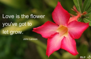 flower grow love quote. quotes