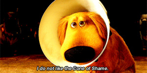 LOL dog animals cute disney UP Pixar animal dug pixars up