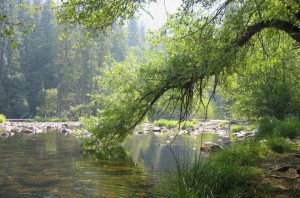 Discussions → The most beautiful State in USA