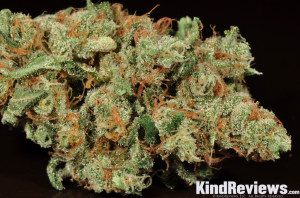 The Sandles Pictured Above