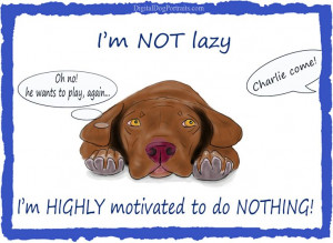 ... potato! Have a good one :) #pitbull #dog #quote #funny #friday #lazy