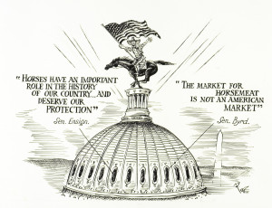 Anti-Horse Slaughter Quotes from Congress, 2005