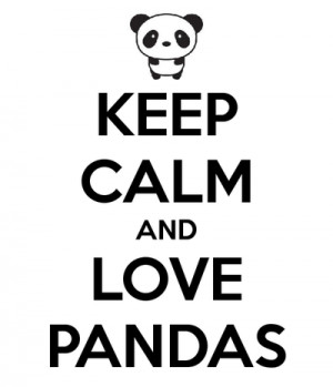 cute, keep calm, love, panda, pandas
