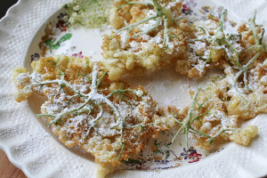 Recipe For Old-Fashioned Elderflower Fritters, Paracelcus, quote ...