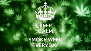 smoke weed every day