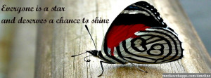Butterfly timeline cover