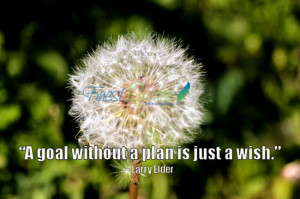 goal without a plan is just a wish.”