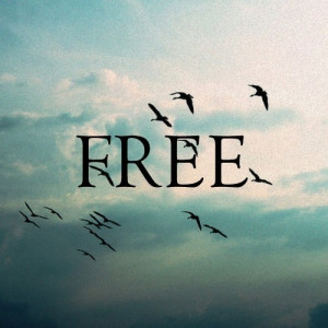 birds, flying, free, quotes, sky, titles
