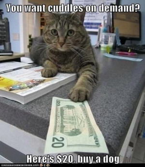Grumpy Cat - Here's 20$ ... Buy A DOG / Grumpy Cat Meme / Grumpy Cat ...