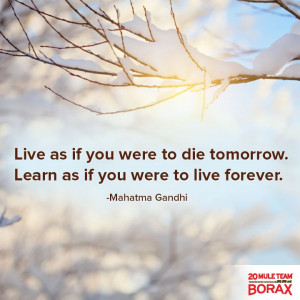 ... to die tomorrow. Learn as if you were to live forever - Life Quote