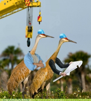 Construction cranes :)