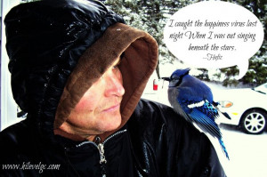 quotes #nature #Hafiz #Happiness This bird landed on co-owner Brian's ...