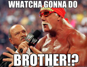 Whatcha Gonna Do, Brother, When Hulkamania Runs Wild on You?