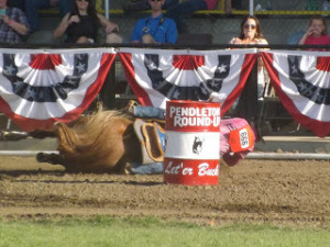Barrel Racing Horses Quotes