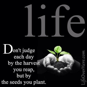 Seeds of life