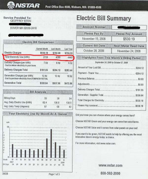 Electric Utility Bill