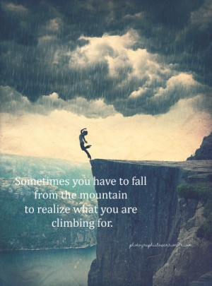 63 Sometimes you have to fall from the mountain to realize what you ...