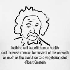 Albert Einstein T-Shirts
