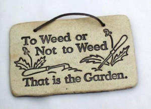 To Weed Or Not To Weed That Is The Garden