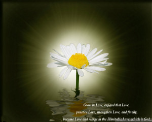 Scenes Wallpapers Seasonal