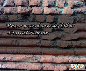 wound a snake kill it harriet tubman 192 people 91 % like this quote ...