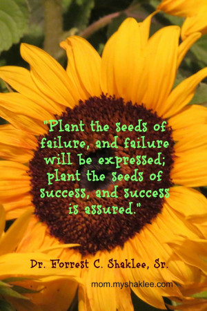 Plant the seeds of success.