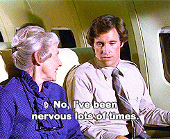 movies quote airplane Ted Striker animated GIF