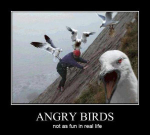 Previous Random Next