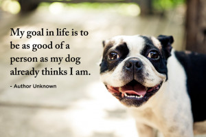 ... To Be As Good Of A Person As My Dog Already Thinks I Am - Pets Quote