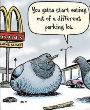 Funny McDonald's Pigeon Cartoon - You gotta start eating out of a ...