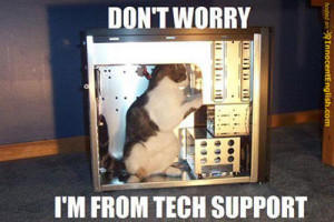 tech-support-funny-cat-pic.jpg