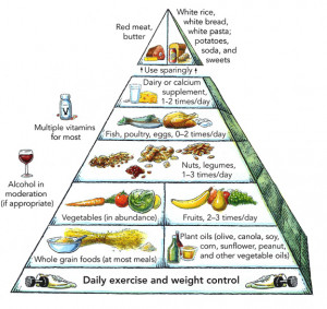 Harvard Nutrition Pyramid