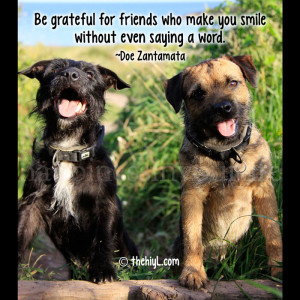 Be grateful for friends who make you smile without even saying a word ...