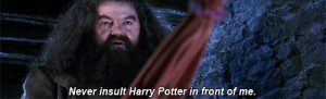 ... insult harry potter never insult harry potter in front of me animated