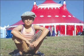 van helden professor of film video and theatre at stevenson