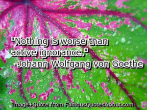 ignorance quotes, quotes on stupidity and ignorance,.