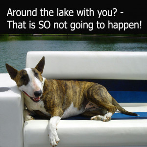 Related Pictures funny dog quotes dog quotes sayings puppy cute dogs