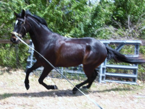 Last Edited By: skye Aug 16 09 11:29 PM.Edited 2 times.