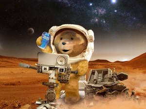 TED wants to become the first teddy bear to toss an empty beer can on ...