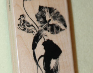 Penny Black rubber Mounted Stamp &q uot;Morning Glory