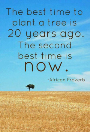 African Proverb