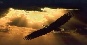 ... eagles; they shall run, and not be weary; and they shall walk, and not