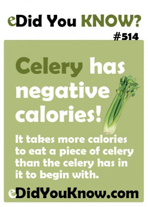 ... of celery than the celery has in it to begin with. eDidYouKnow.com