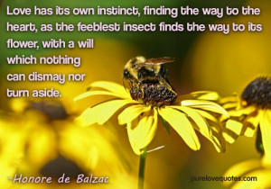way to the heart, as the feeblest insect finds the way to its flower ...